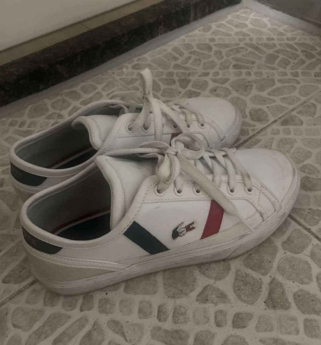 라코스테 스니커즈 230 상품이미지3