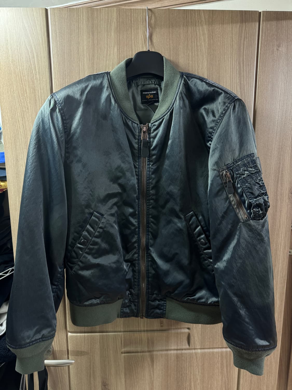 디스이즈네버댓 알파인더스트리 협업 자켓 L 상품이미지1