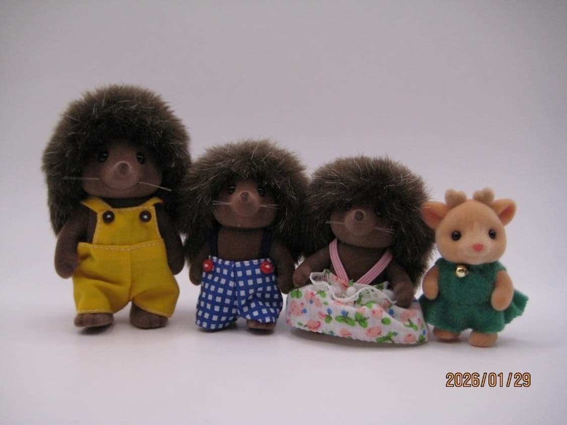 📸 캐논 IXY 10 ✨ 강민경 디카 💕 초미품 풀박스 상품이미지7