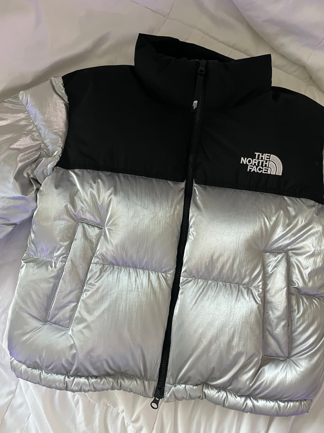 노스페이스 라벨 노벨티 눕시 실버패딩 상품이미지1