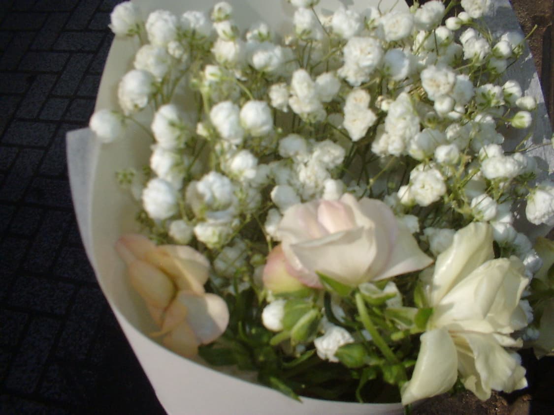 카시오 GV-10 희귀 빈티지 디카 [작례ㅇ] 상품이미지6