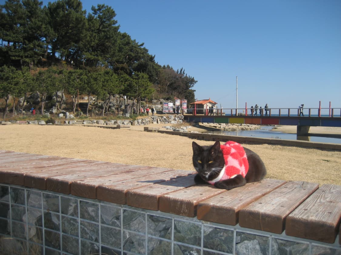 캐논 익서스 60 익시 70 상품이미지7