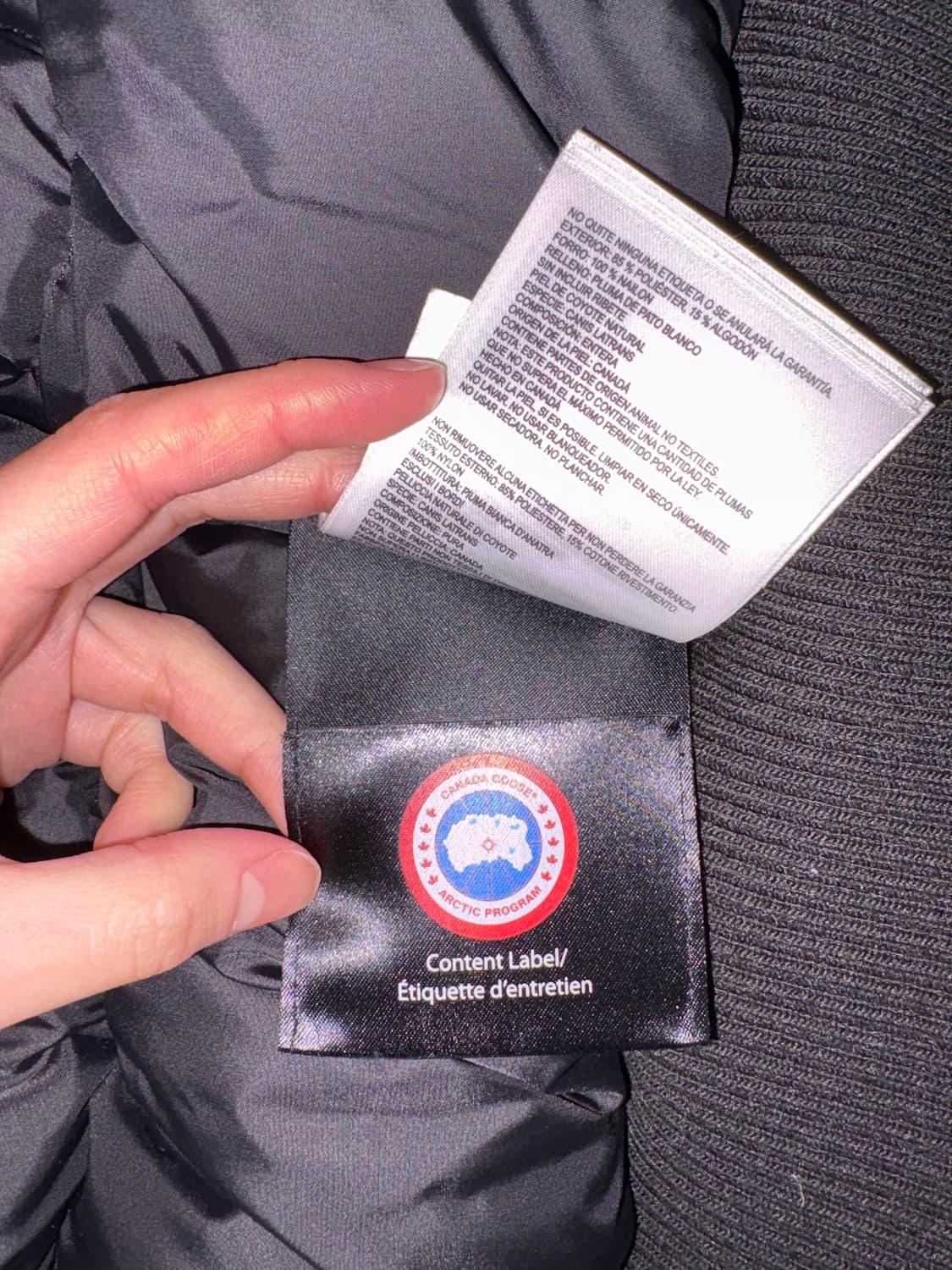 캐나다구스 숏패딩 상품이미지4