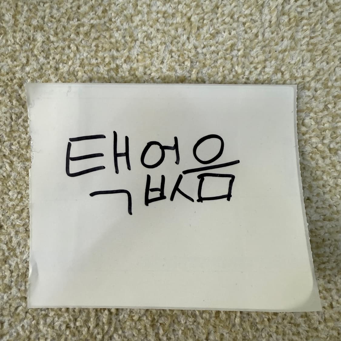 [105] 파크랜드 그린 스프라이트 셔츠 0115T1 상품이미지4