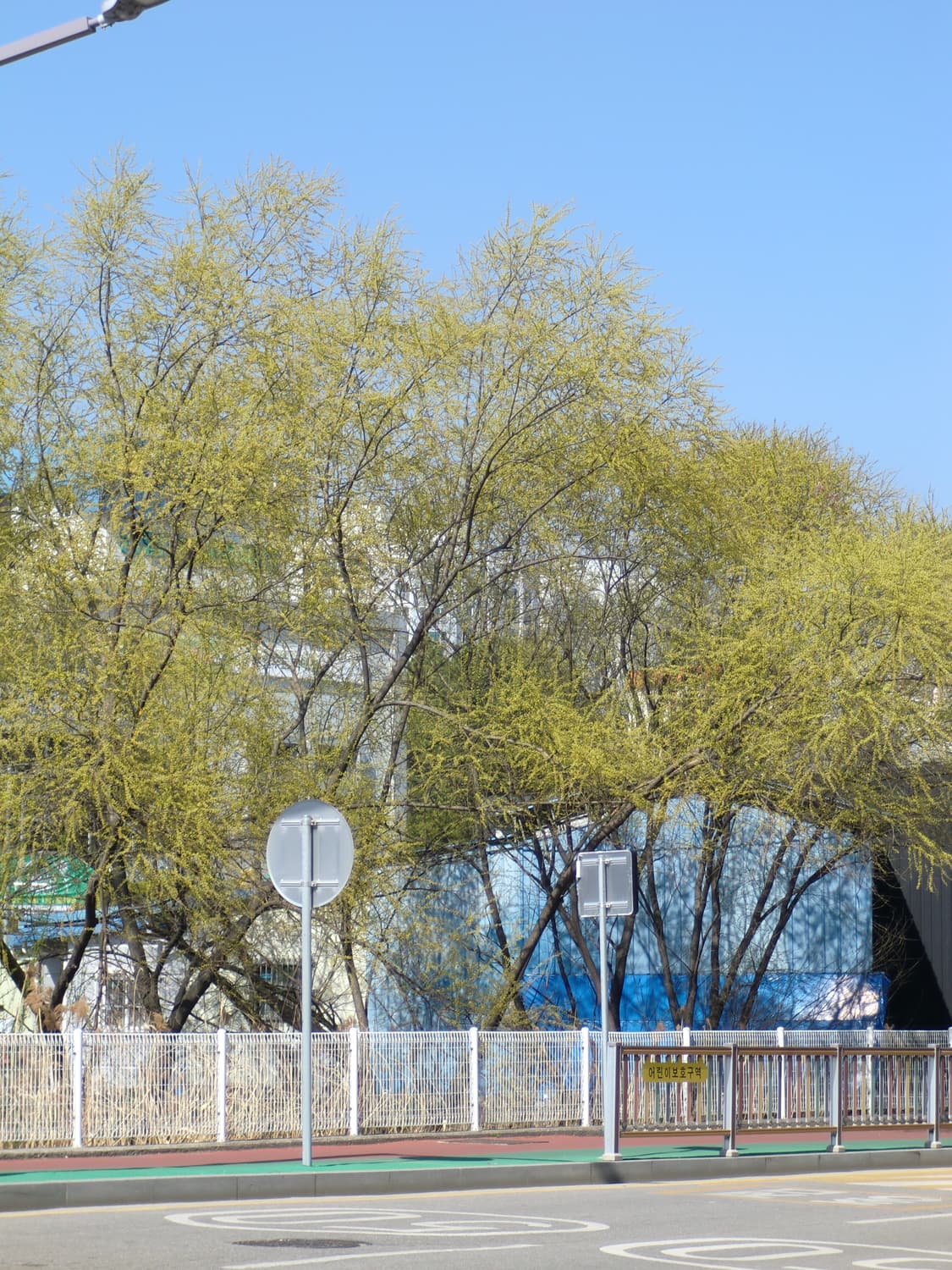 카시오 엑슬림 ex-z330(작례O) 상품이미지8