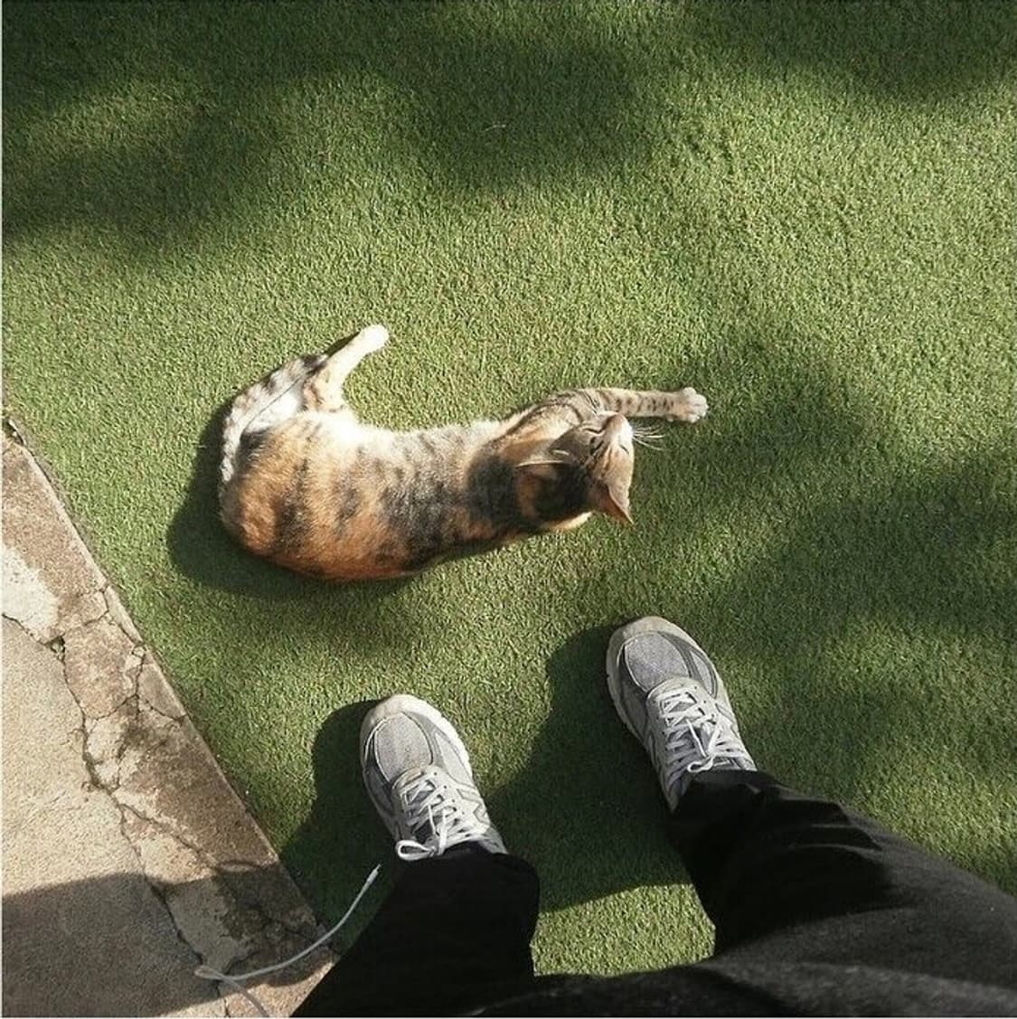 ✨ 루믹스 FP8 골드 ✨
🌼 몽환 + 환한 색감 디카 상품이미지5