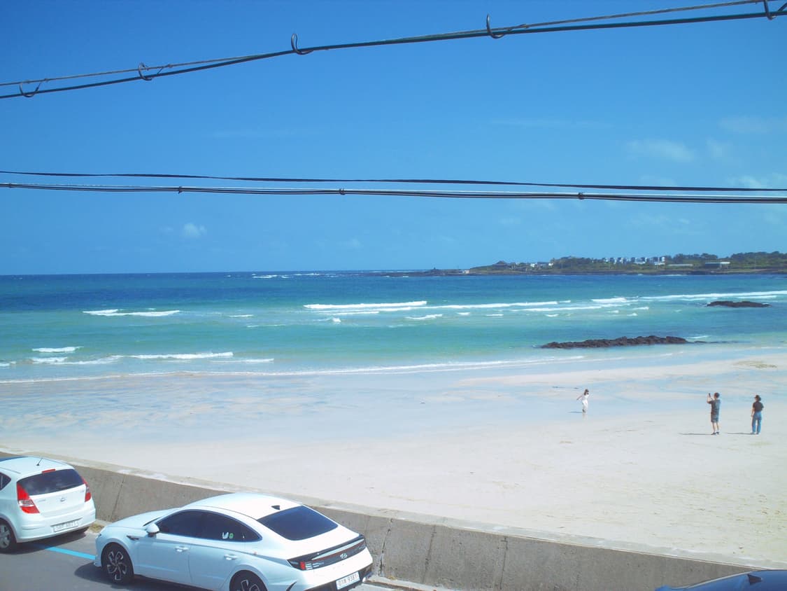 소니 블로기 pm5 풀박스 미품 (작례O) 상품이미지7