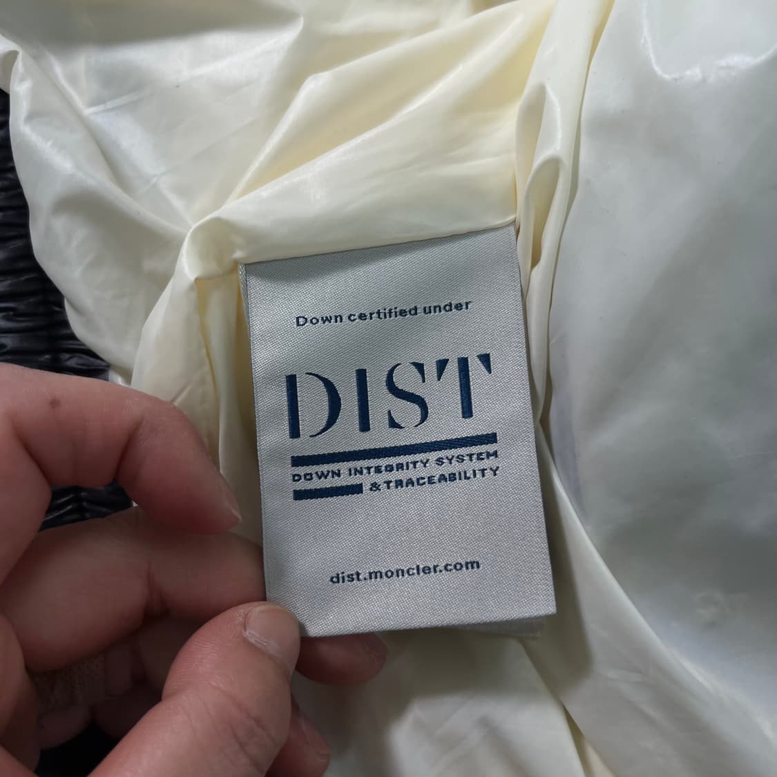 W100 몽클레어 25FW 패딩 베스트  상품이미지8