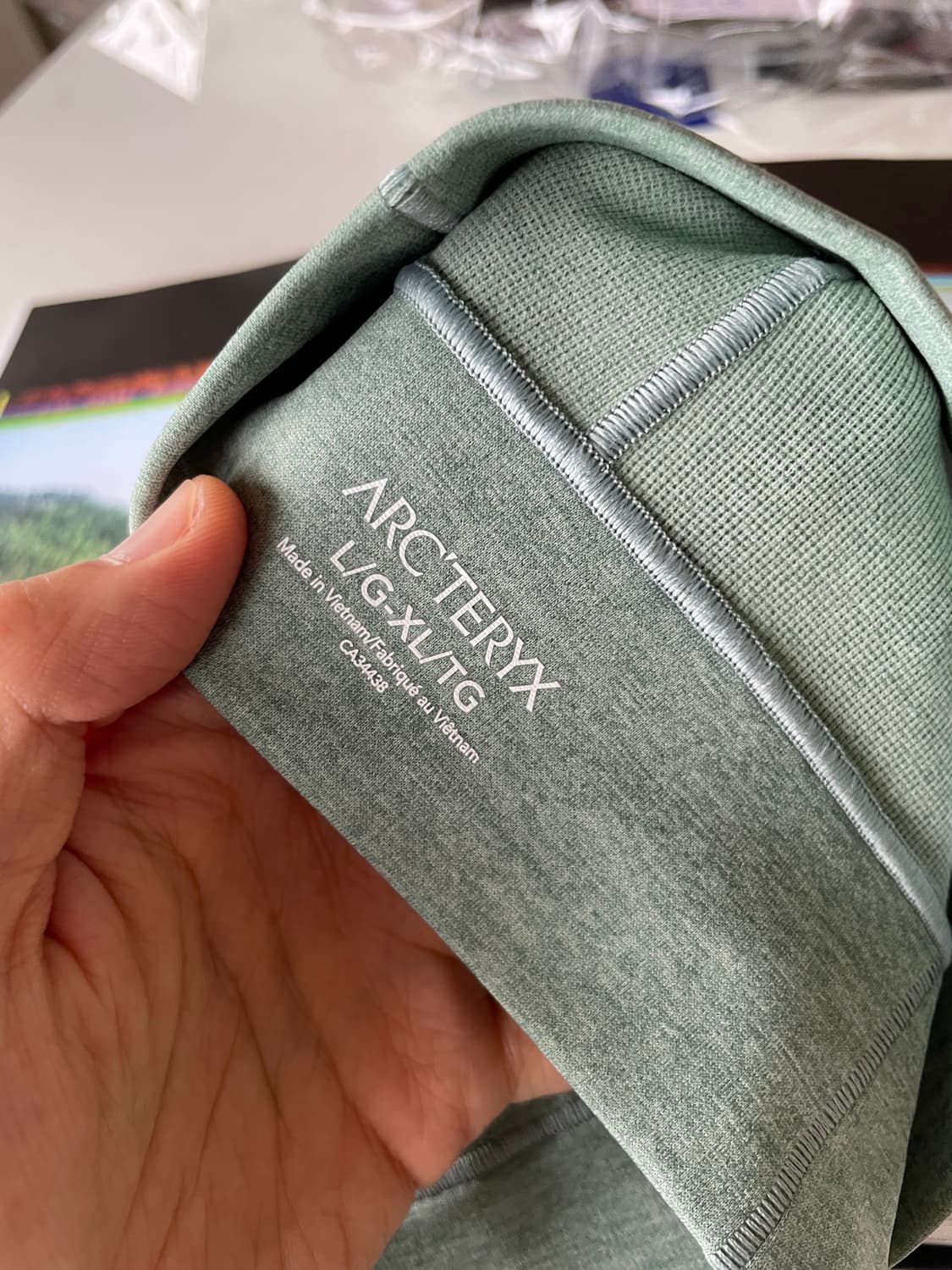 ARCTERYX Motus 아크테릭스 모투스 비니 에니 상품이미지6