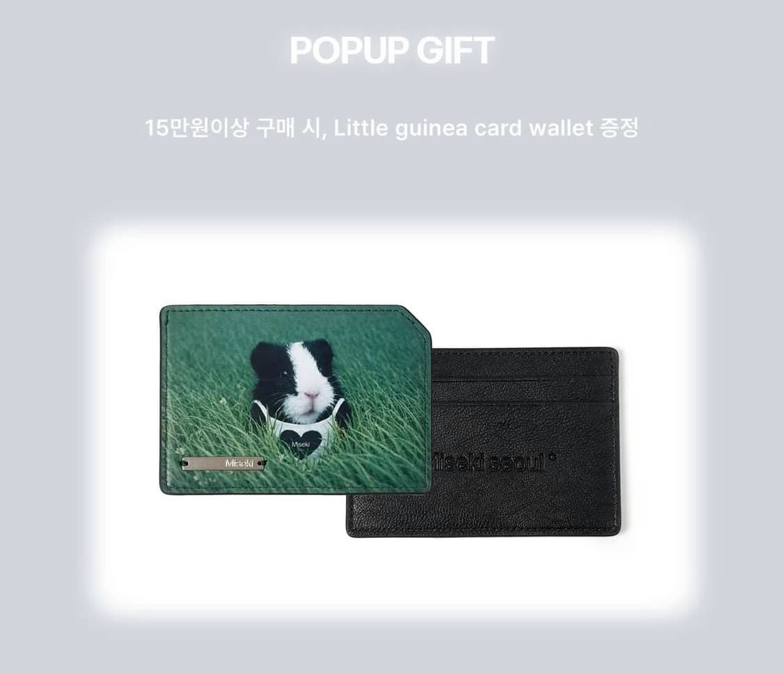 Little guinea card wallet 상품이미지1