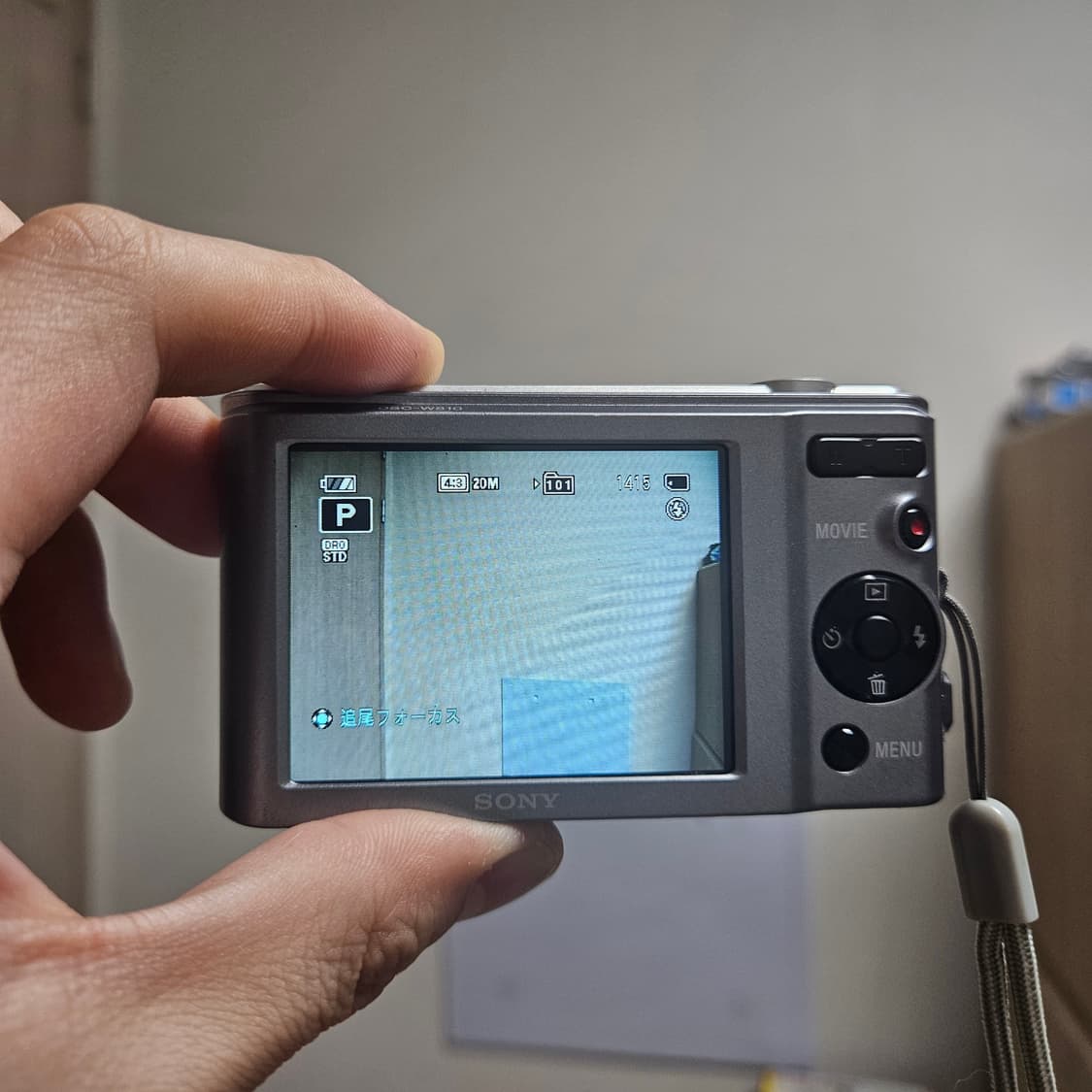 (아이브 레이 디카) 소니 사이버샷 DSC-W810 상품이미지4