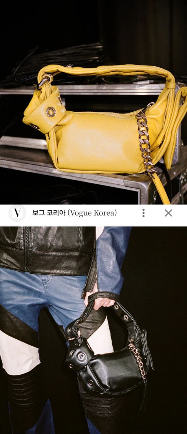 자딕앤볼테르 르세실리아 토트 상품이미지7