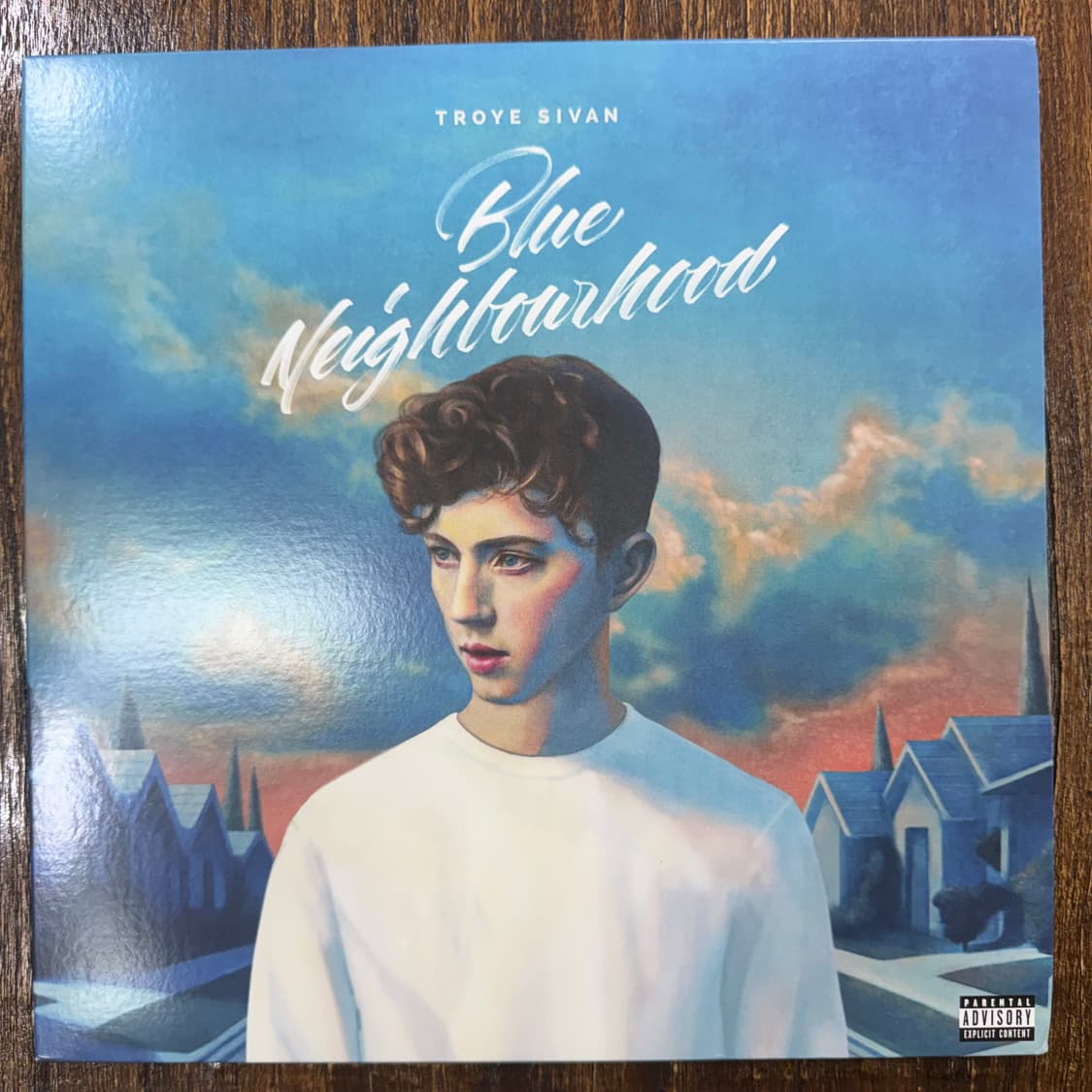 트로이 시반 Blue Neighbourhood LP 상품이미지1