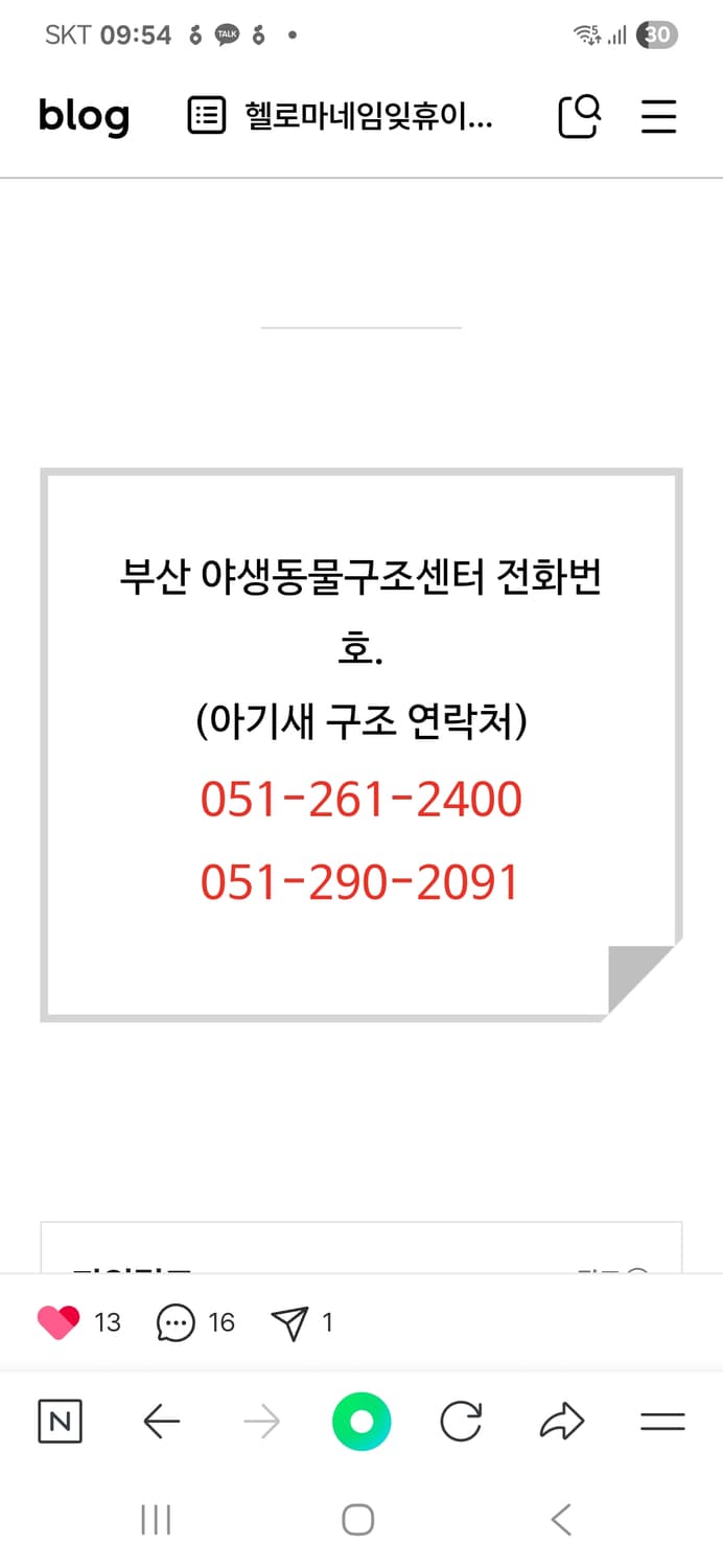 (매장 정품)24SS 아크테릭스 비니 택없는 새제품 상품이미지2