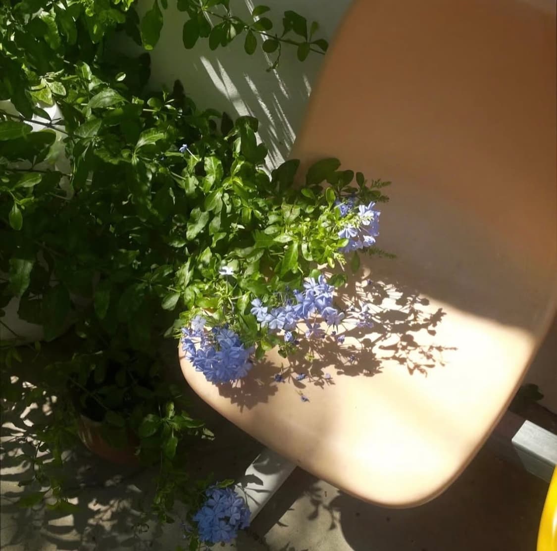 [뽀용!] 파나소닉 Panasonic Lumix DMC-FS25 디카 상품이미지2