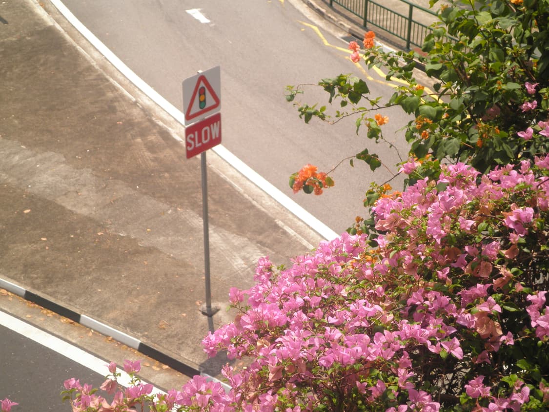 올림푸스 뮤 5010 블랙 (작례 O) 상품이미지5