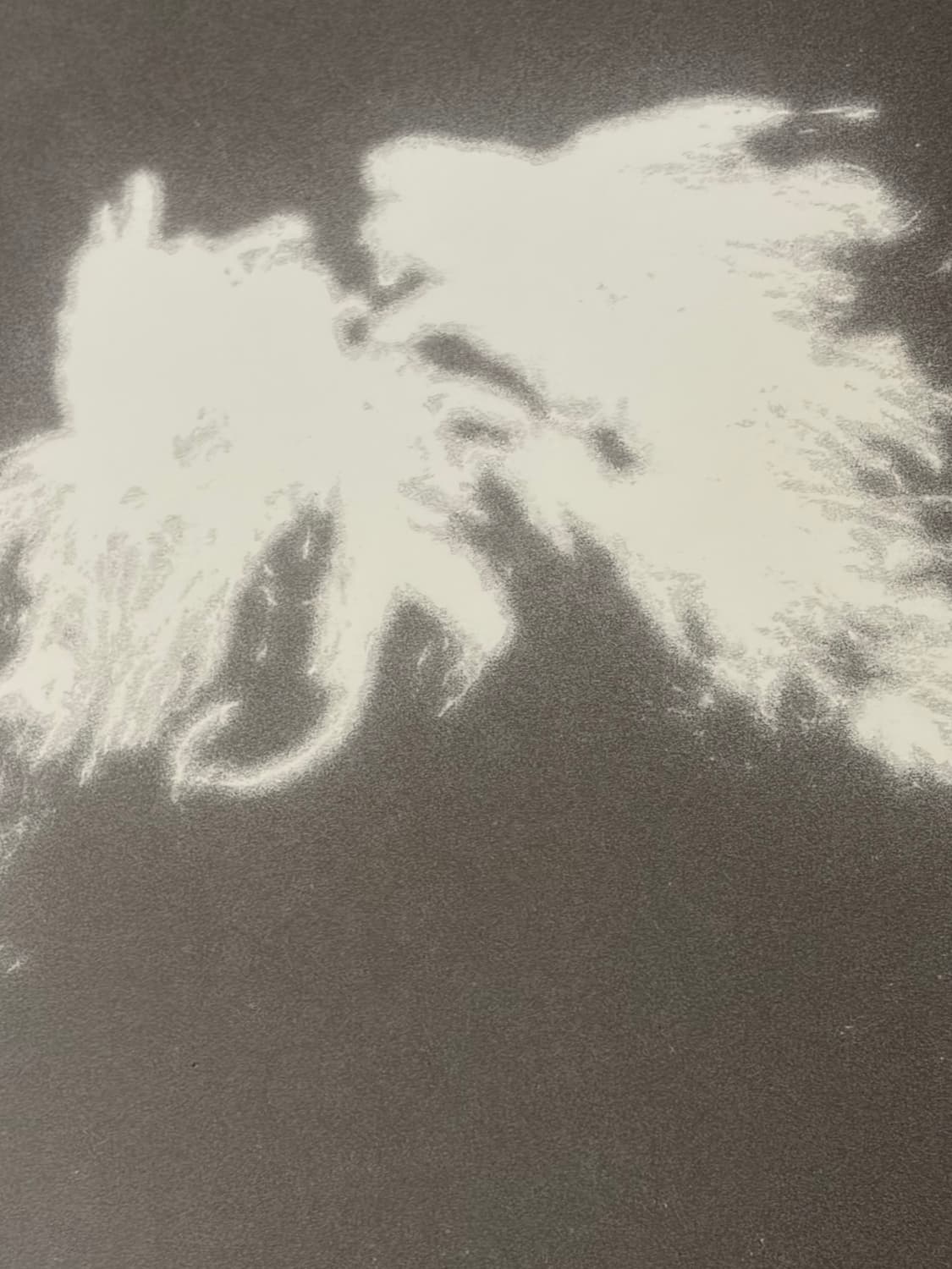 한로로 및 타 아티스트 cd Lp 판매 상품이미지5