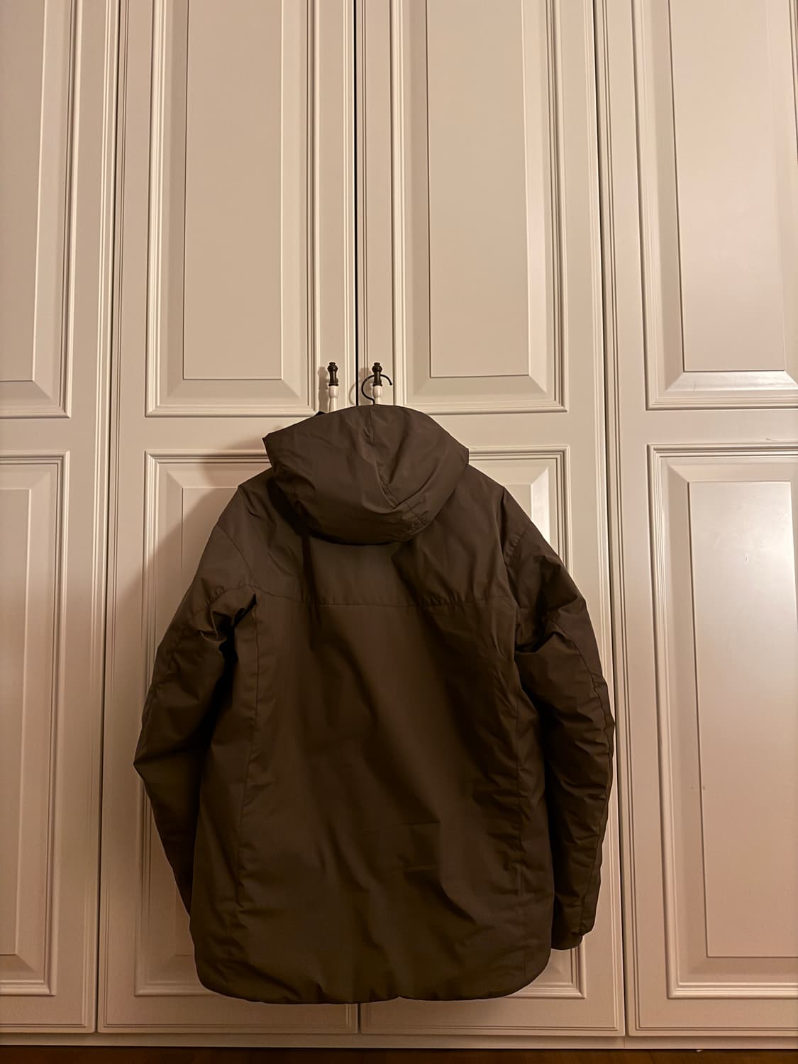 아크테릭스 리프 콜드 후디 WX LT 젠2 레인저그린 상품이미지3