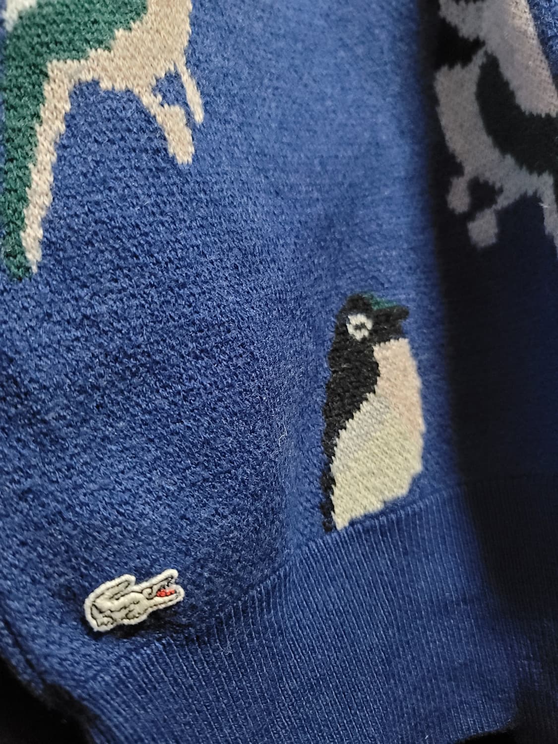 라코스테 니트 상품이미지5