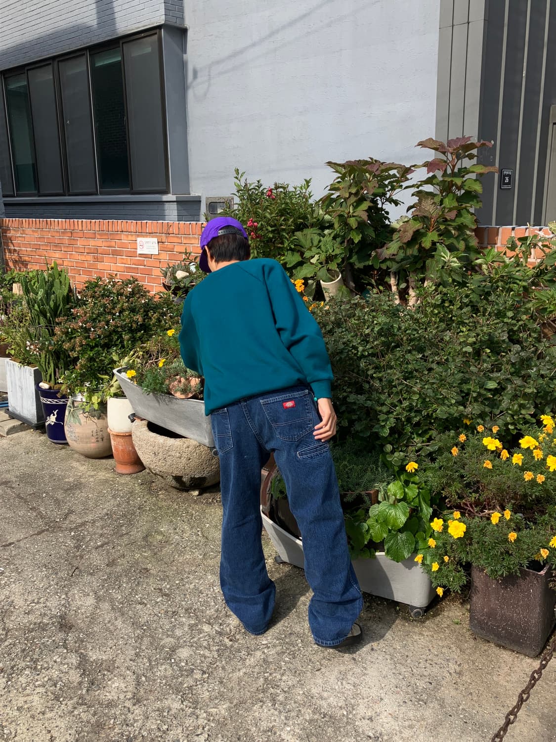 DICKIES regular fit 상품이미지1