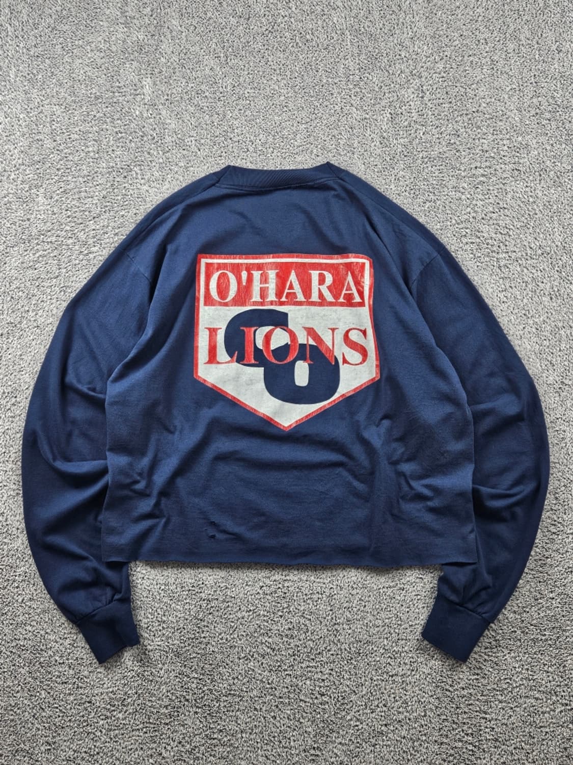 80'~90's 프룻 오브 더 룸 라이언 롱슬리브 ( XL )/11118 상품이미지1