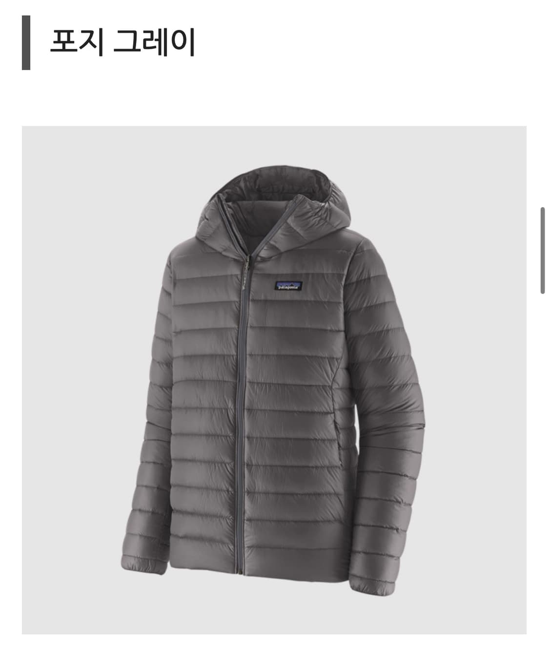 파타고니아 FW25 후드 경량패딩 맨즈 S 상품이미지3
