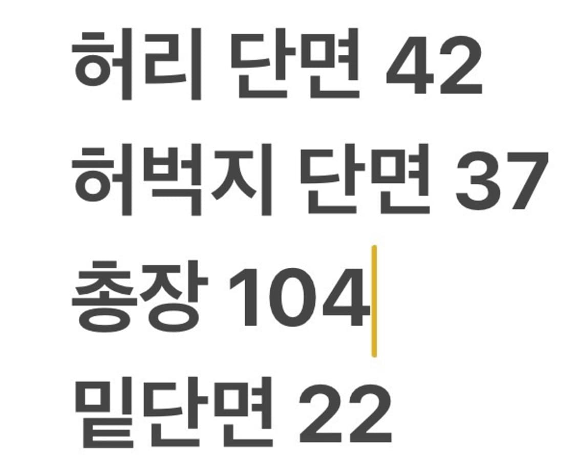 [정품/XXL] 조던 블랙 나일론 카고 바지 b10 상품이미지9