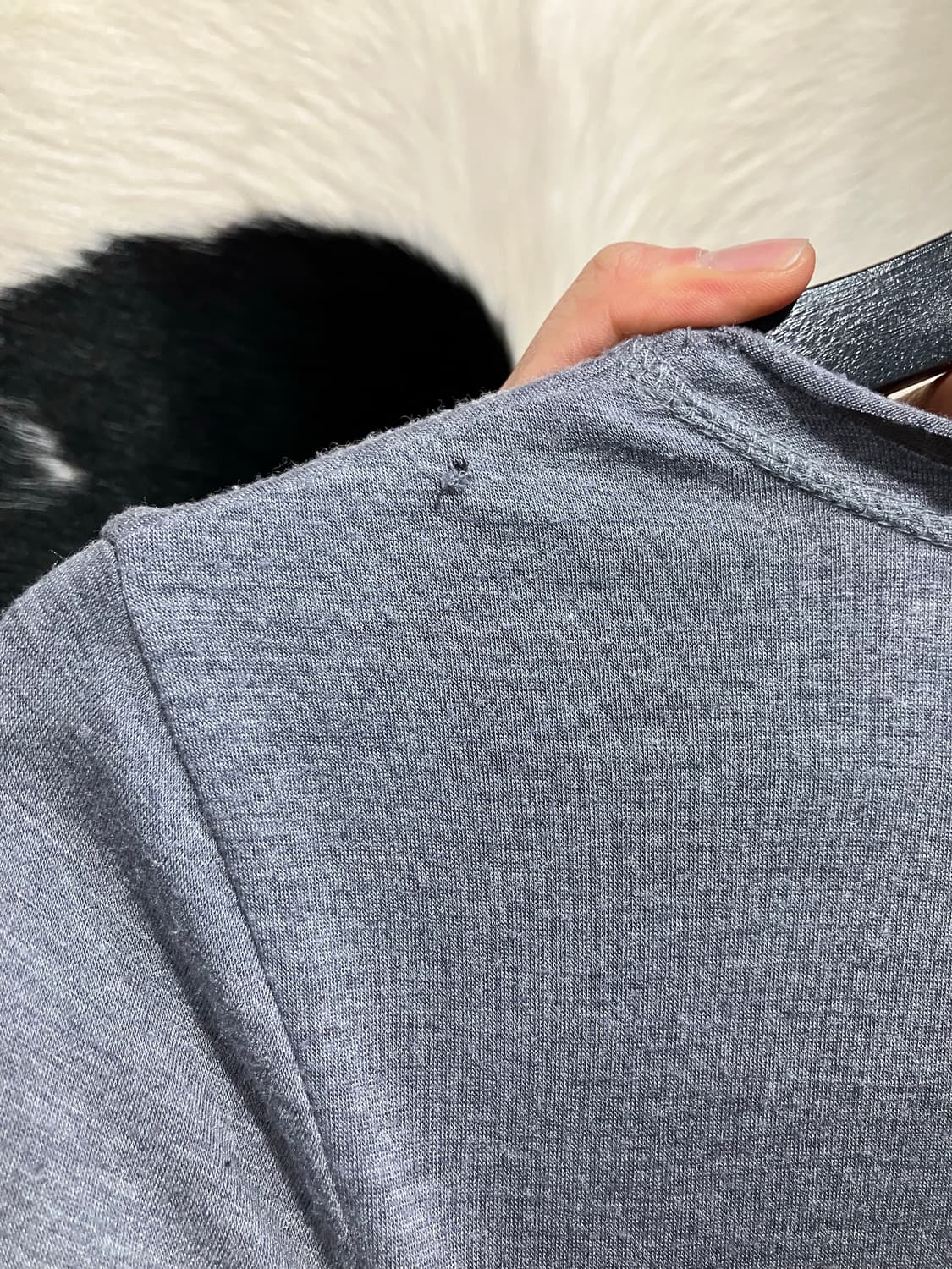 Anna kerry 벨벳라인 디테일 슬림핏 7부슬리브 상품이미지5