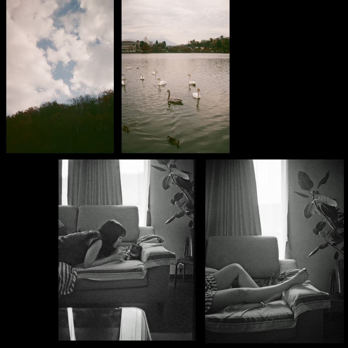 필카 유니크한 하프카메라 리코 오토하프 (작례0 전체분해 오버홀완료) 상품이미지2