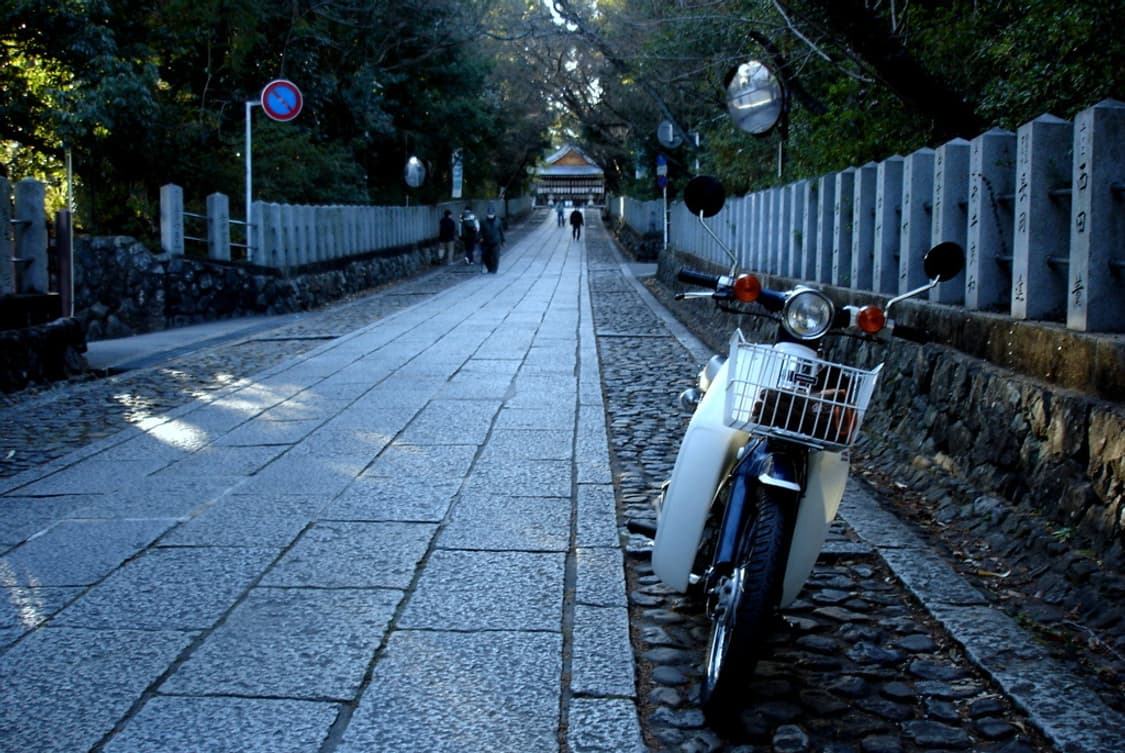 소니 사이버샷 Sony Cyber-shot DSC-W180 레드 상품이미지2