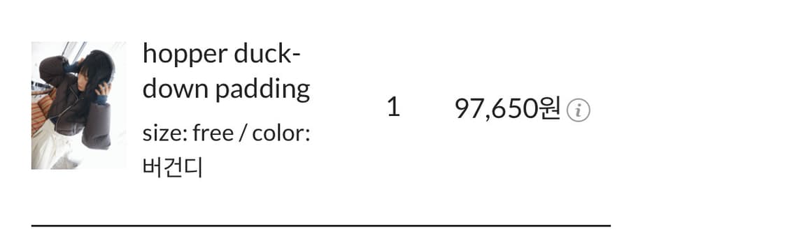 덕다운 브라운 숏패딩 상품이미지9