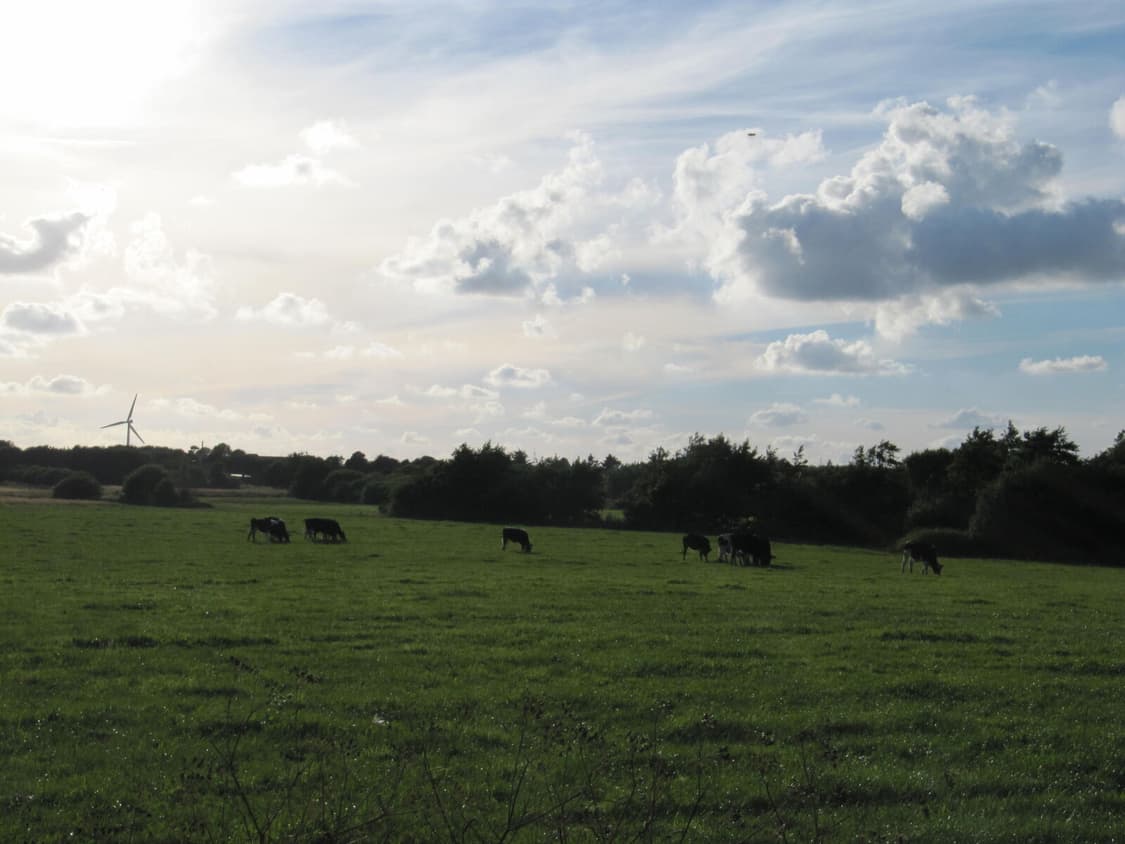 Canon Powershot SX200IS(캐논 파워샷 SX200 IS) 상품이미지10