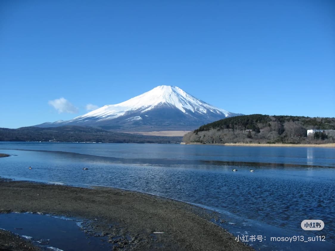 Bts진,박보영디카 캐논 IXY800 IXUS 800 디지털카메라 작례O 상품이미지5