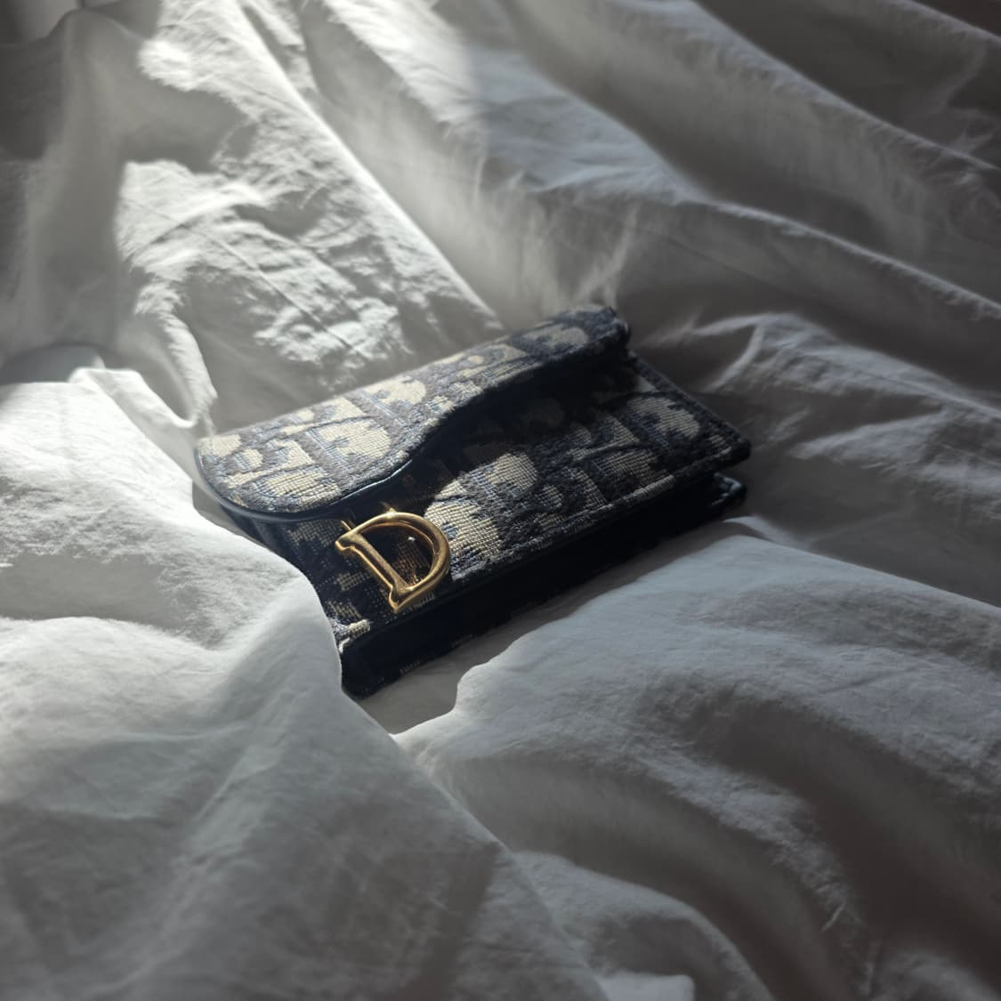디올 새들 카드지갑 상품이미지1