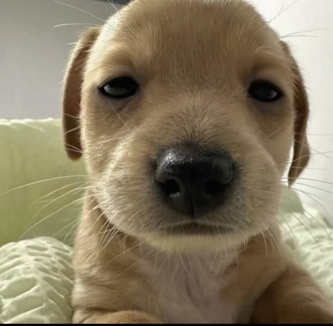 eklove님 개인결제창 상품이미지1