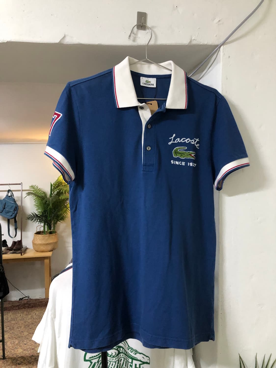 Lacoste 빅 크로커다일 패치지수 PK 상품이미지1