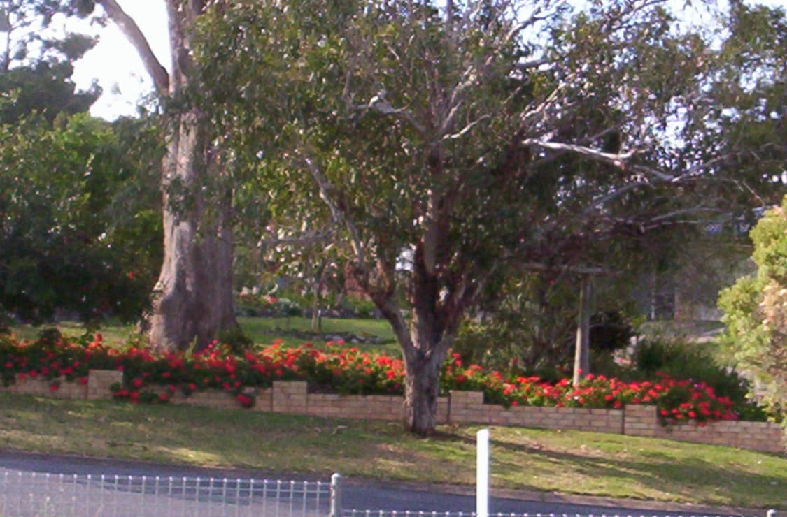 코닥 이지쉐어 cx 7310 (직접 찍은 샘플사진🙆‍♂️) 상품이미지5