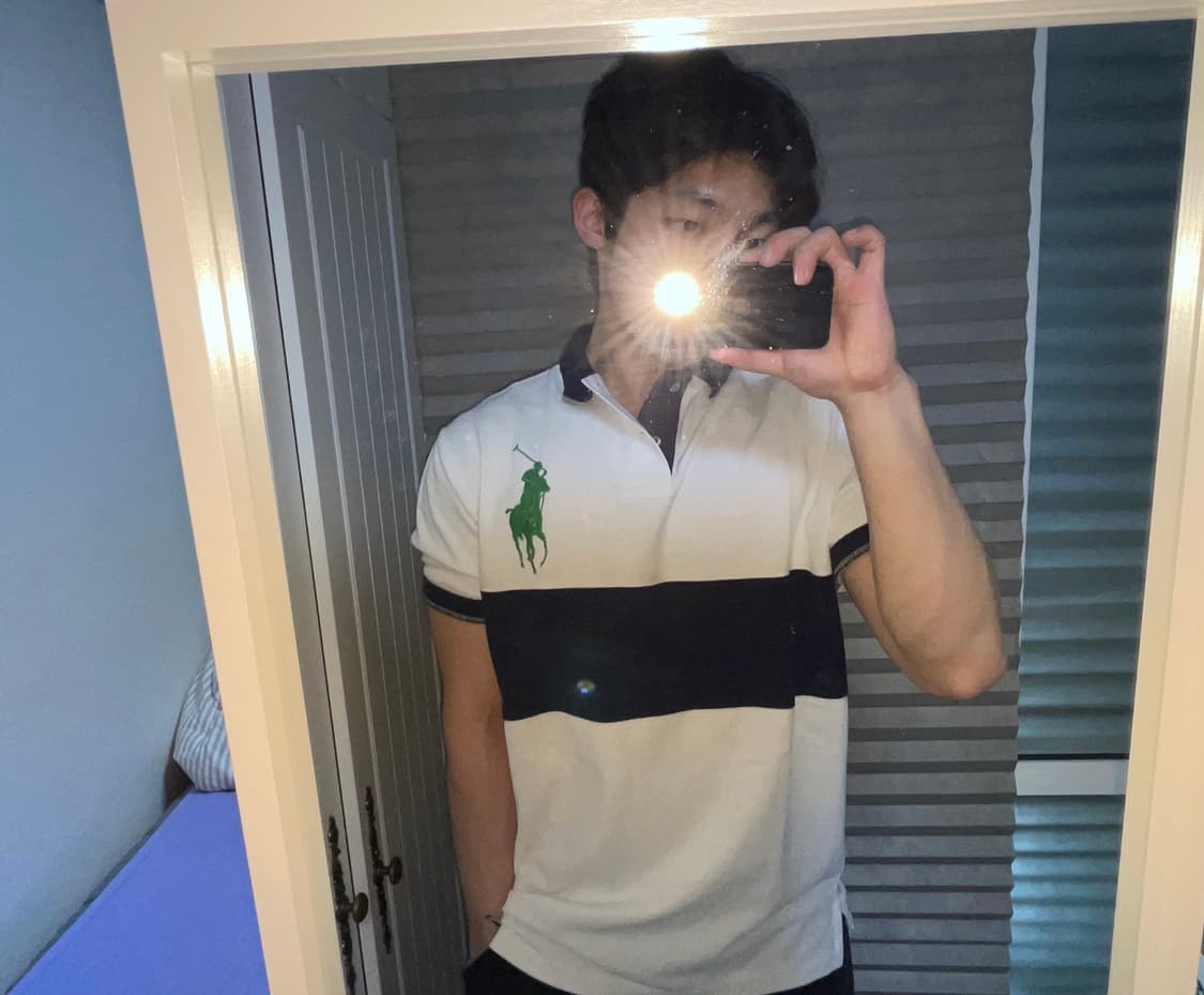 폴로 랄프로렌 빅포니 카라티 클래식핏 L 상품이미지1