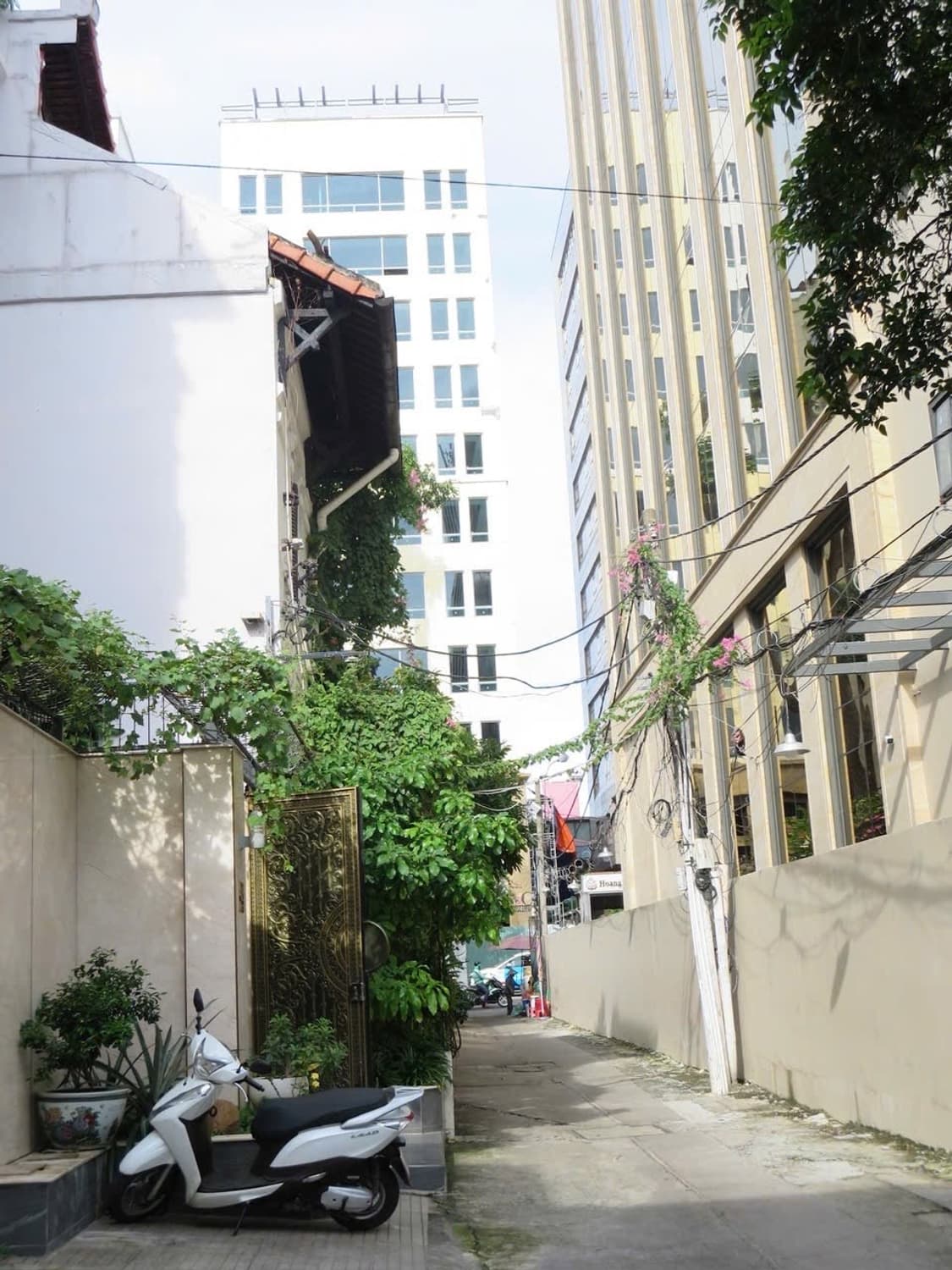 준민트급 ✨) Canon IXY 600F IXUS125HS / 작례O 상품이미지7