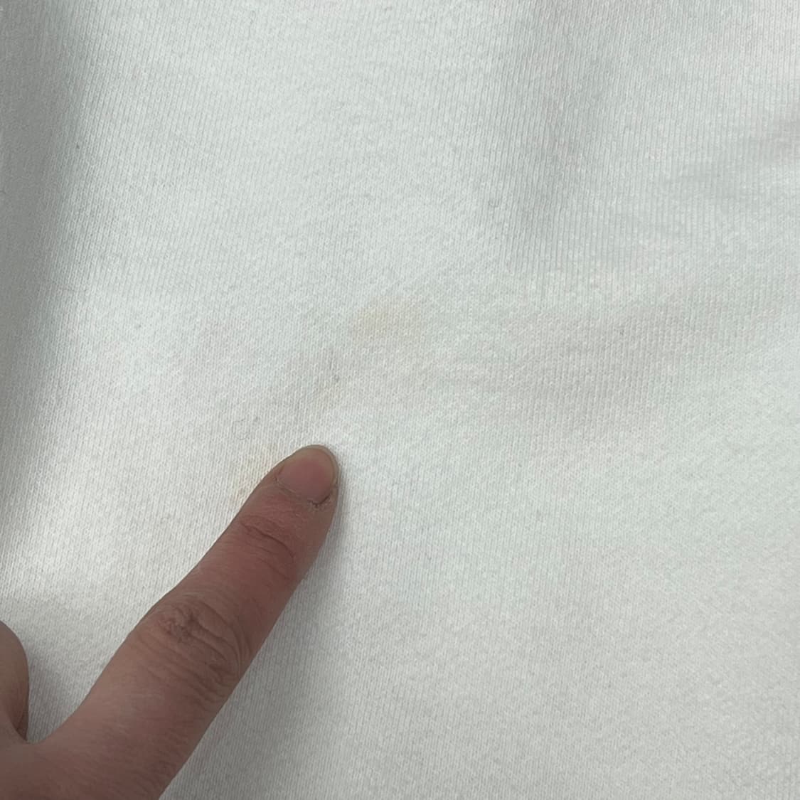 칼카니 로고 스웻셔츠 s09547 상품이미지5