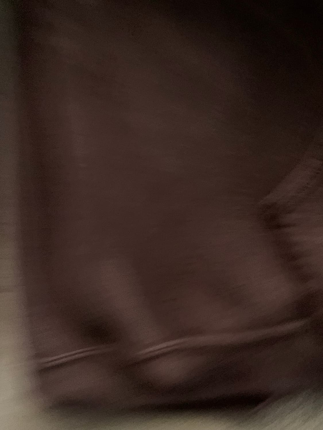 00s 러셀 애슬레틱 튜블러 스웻후디 브라운 상품이미지4