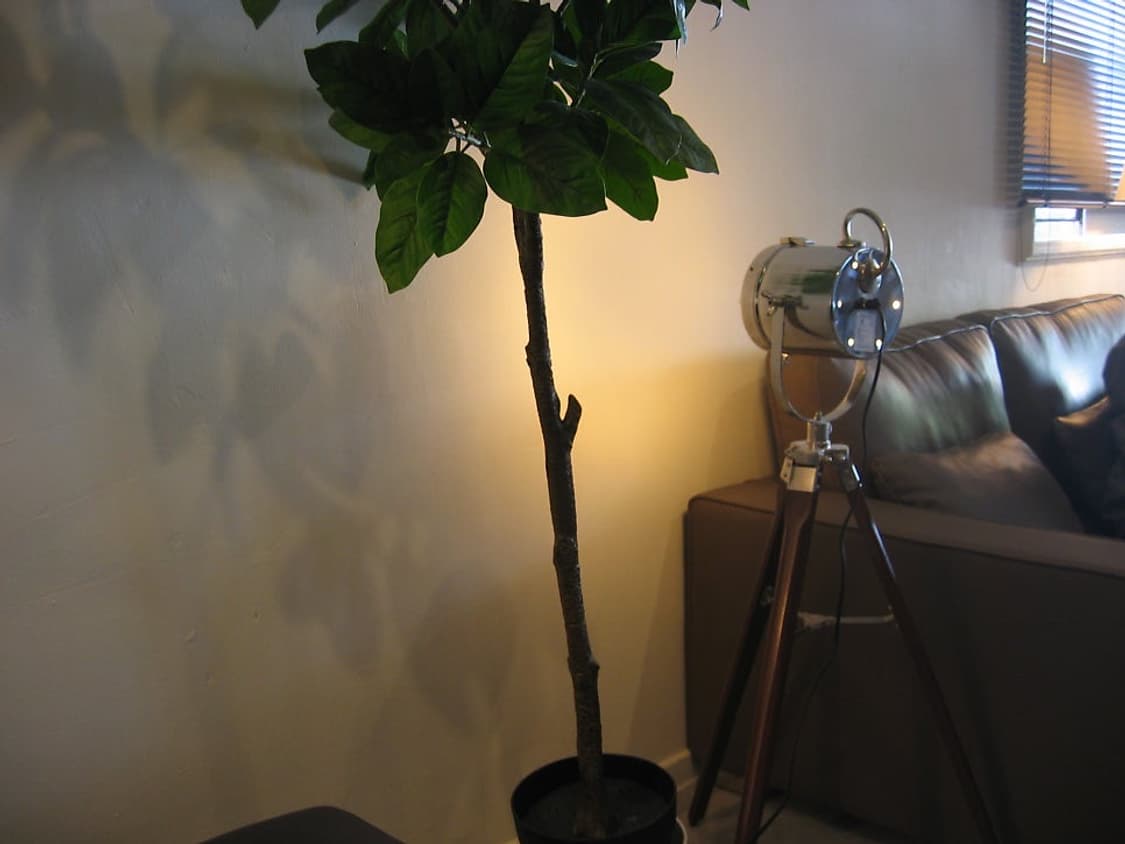 오늘만 할인/작례O) 캐논 익서스 300 익시 300 상품이미지7