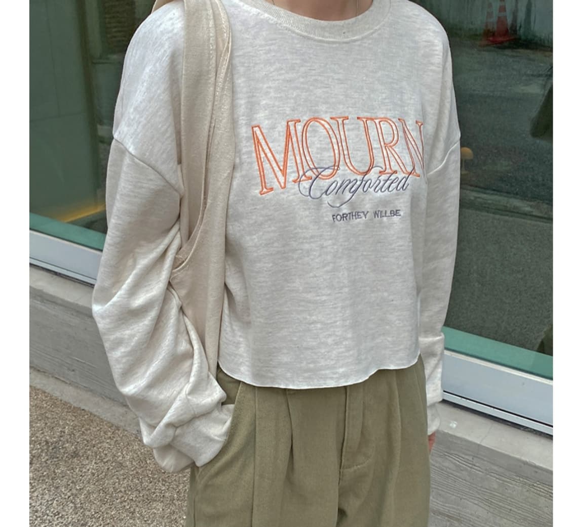 세미크롭 오버핏 맨투맨 Free  상품이미지9