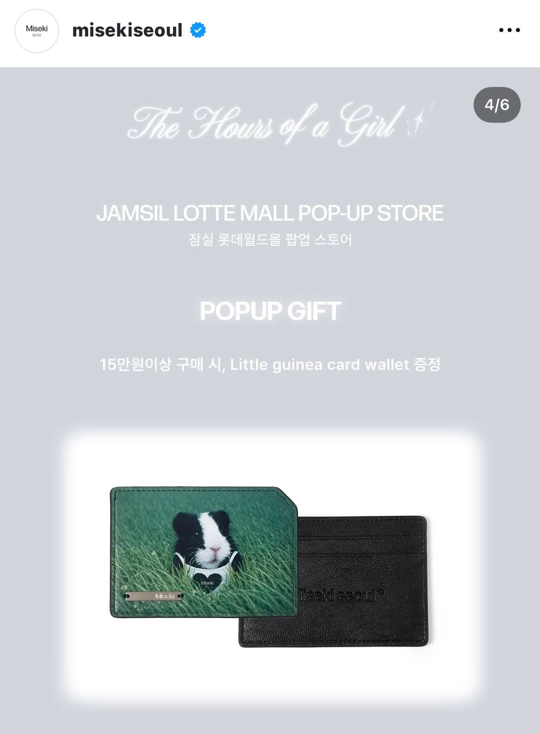 미세키서울 기니 카드 지갑 미개봉 새상품 팝업 상품이미지2