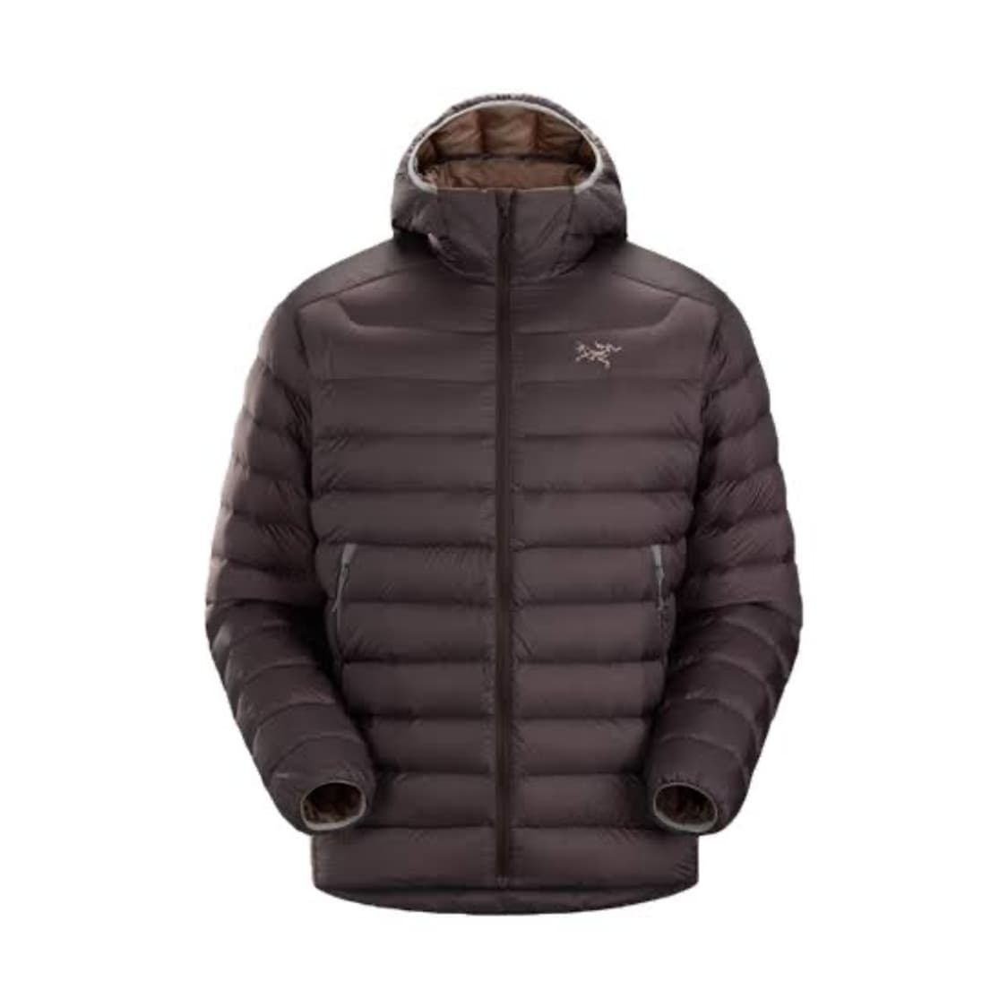 아크테릭스 세륨 남자 s 상품이미지1