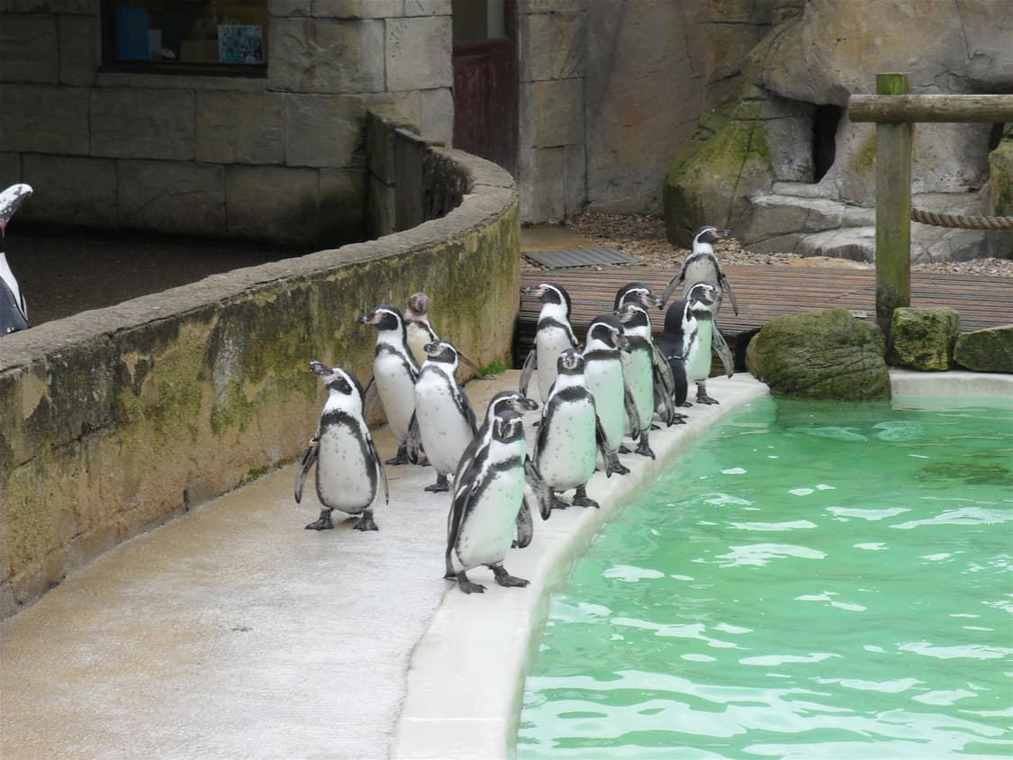 Samsung VLUU PL150(삼성 블루 pl150) 상품이미지7