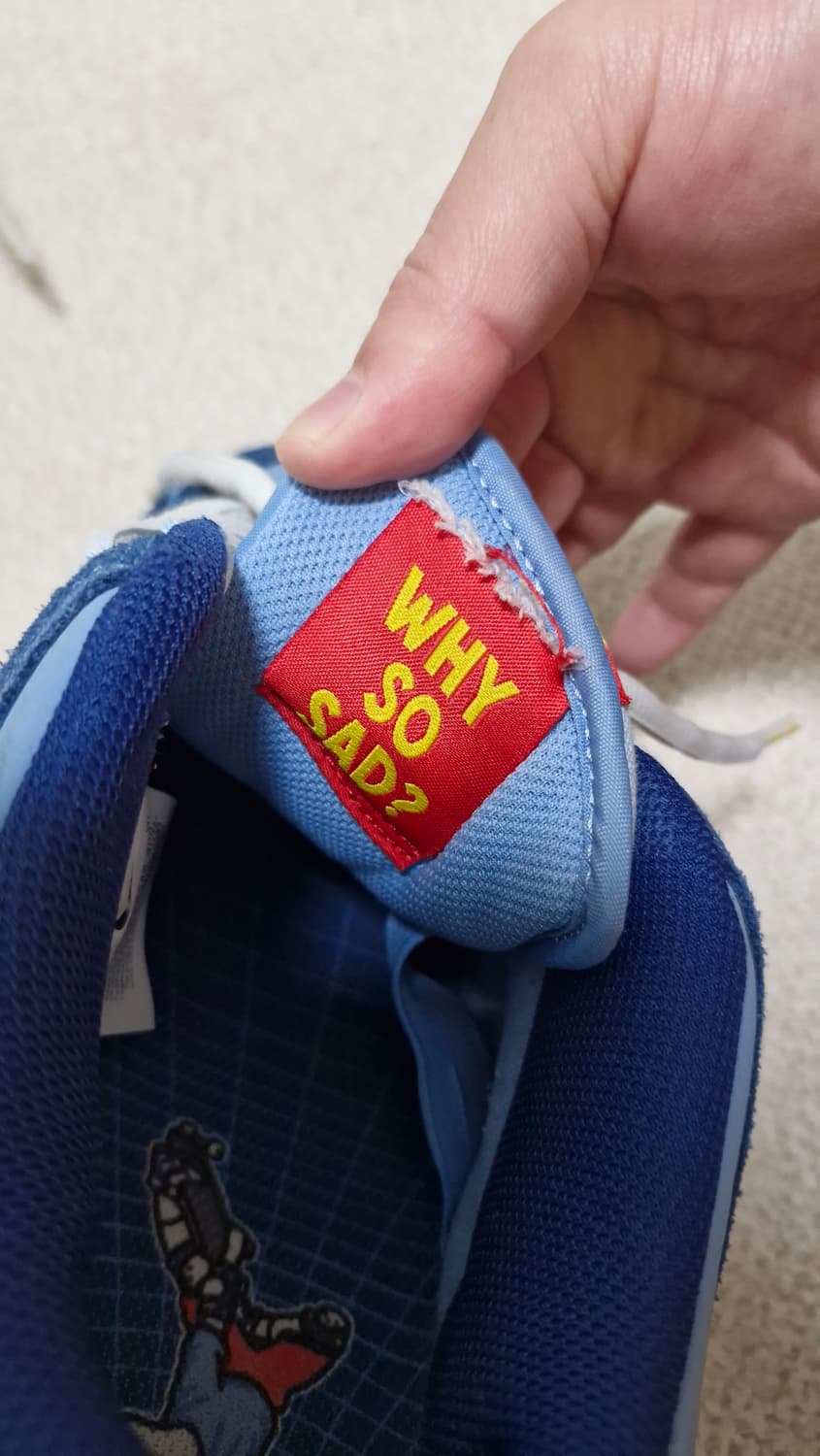 나이키 SB 덩크 로우 프로 블루 260 why not so sad 상품이미지4