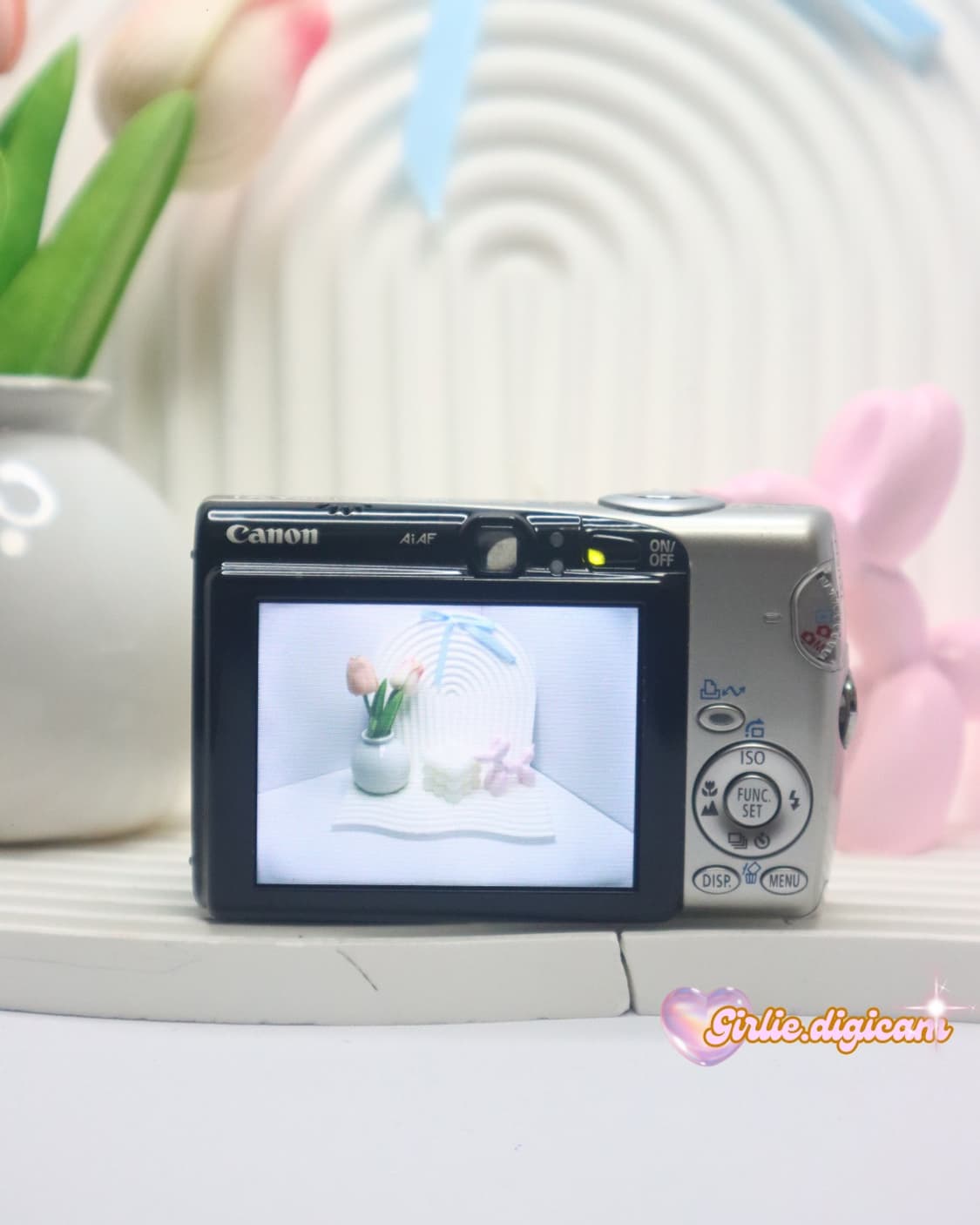 박보영+진 디카!)) 캐논 익서스800is 상품이미지5