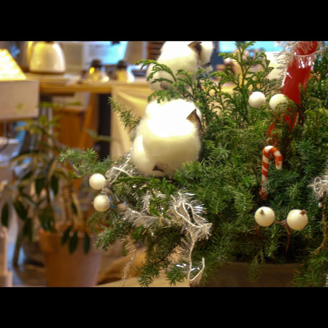 올림푸스 VR-320 + 케이스  오션 블루🌊 빈티지 디카 디지털카메라 상품이미지7