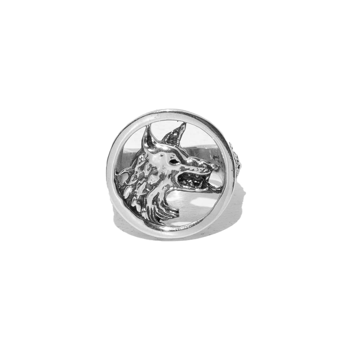 ERD dog in restraint ring 상품이미지1